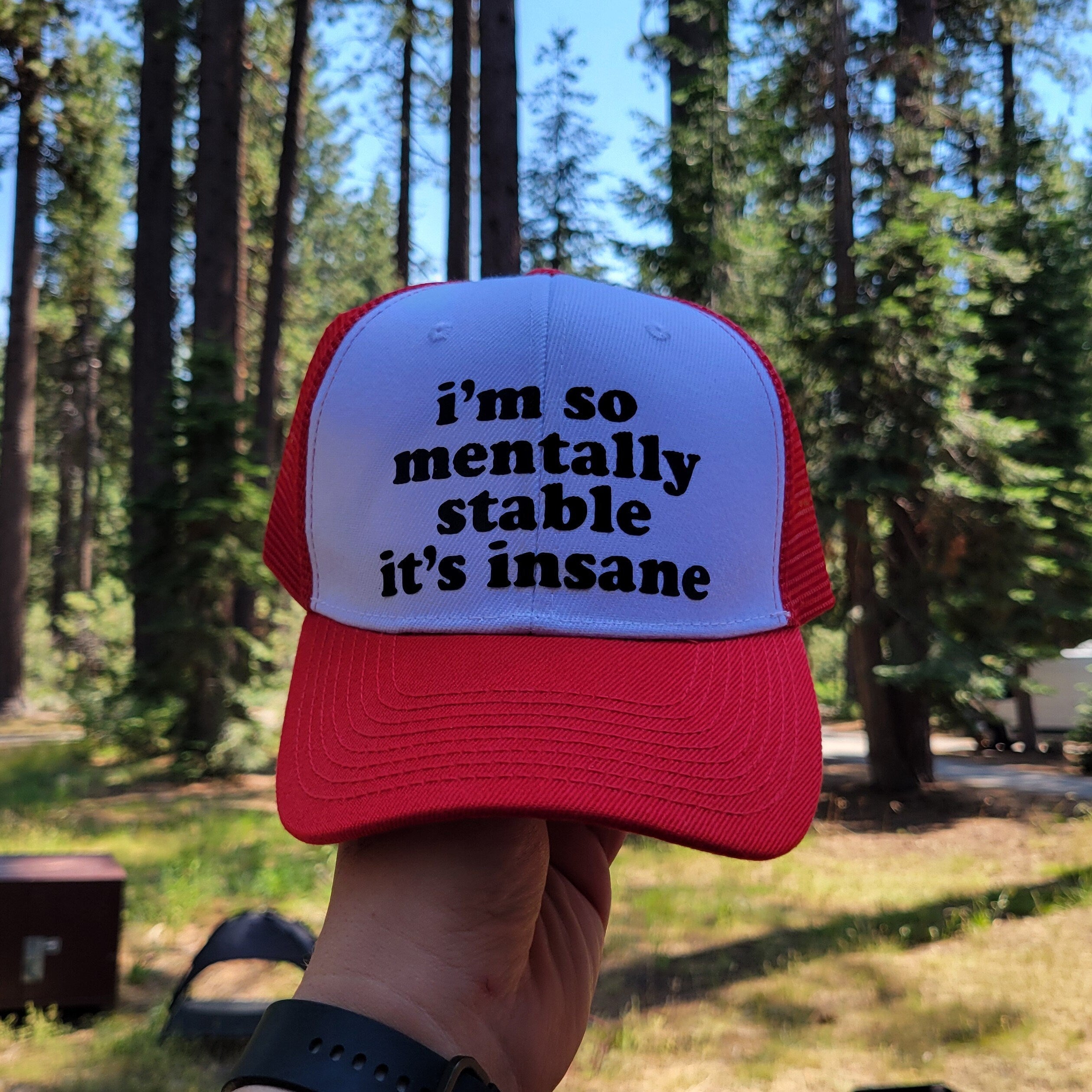 I'm So Mentally Stable It's Insane Custom Trucker Hat